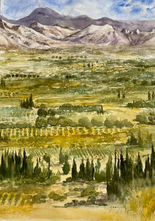 Les Alpilles à Aureille 65 x 50